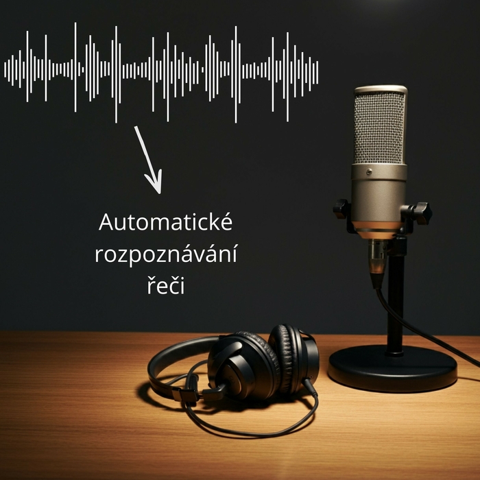 Automatické rozpoznávání řeči